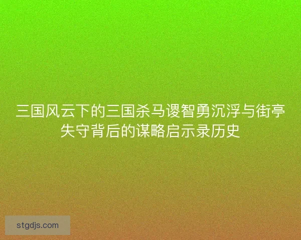 三国风云下的三国杀马谡智勇沉浮与街亭失守背后的谋略启示录历史